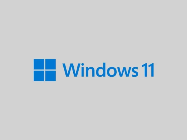 Windows 11